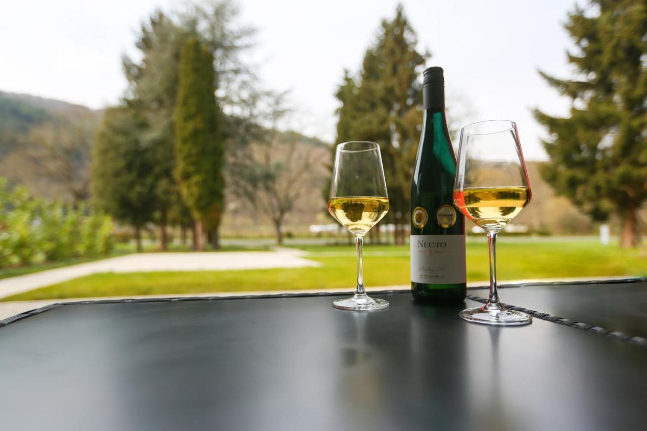 Rieslingresidenz Appartement Verbandsgemeinde Verbandsgemeinde Traben-Trarbach Buitenkant foto